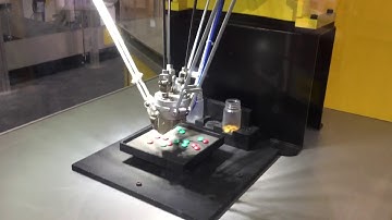 Robotic Sorting with Vision