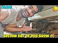 Second day of Dog show 🤣 Vlog
