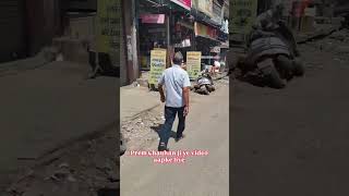 tigri ka bura haal