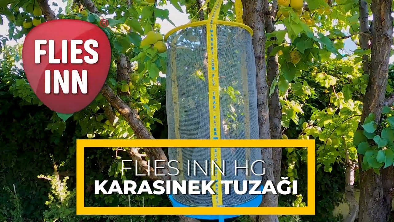 Flies inn HG Karasinek Tuzağı Tanıtım