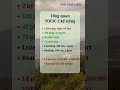 Tổng quan Toeic 2 kỹ năng #toeiconline #xinhtuoitoeic #shorts