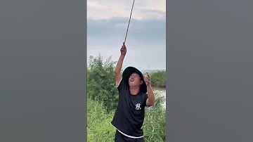 Có Ai Đã Từng Câu Cá Rô Đồng Siêu To Nhiều Như Thế Này Chưa #trainghiem