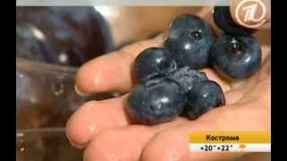 видео Чем полезна черноплодная рябина