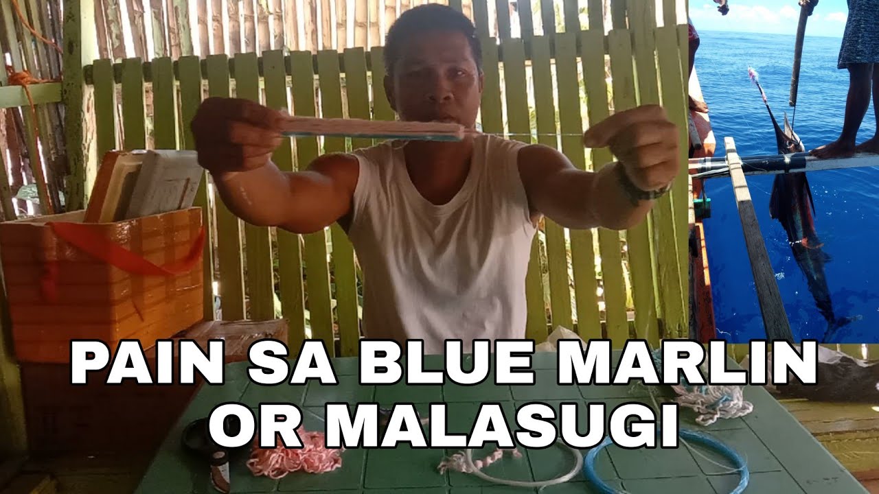 ALPAKA MABISANG PAIN SA BLUE MARLIN or MALASUGI