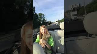 Awww her fluff in the wind is just 👌