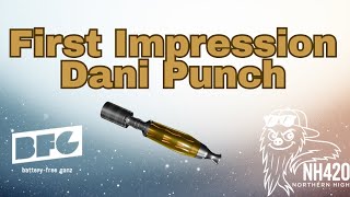 First Impression: Dani Punch