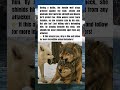 She Protects Him in Battle — Wolf Instincts Explained 🐺❤️