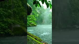 🌧️ 99% Fall Asleep in Minutes | Heavy Rain Sounds for Deep Sleep/Instantly Relax