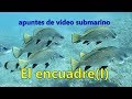 Apuntes de vídeo submarino El encuadre (I)