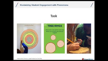 Maximizing Student Engagement with Phenomena