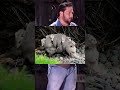 Opossums | Steve Trevino