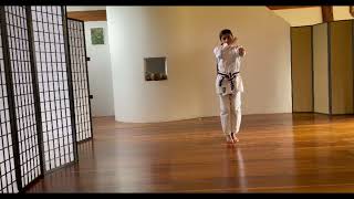 Kihon Basic Blocks #kihon #karate #shotokan #blocks #kids