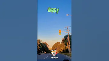 New 2025 August Newvideo Reels Shorts Sun Foryoupage Vibes Toronto Summer Travel 
