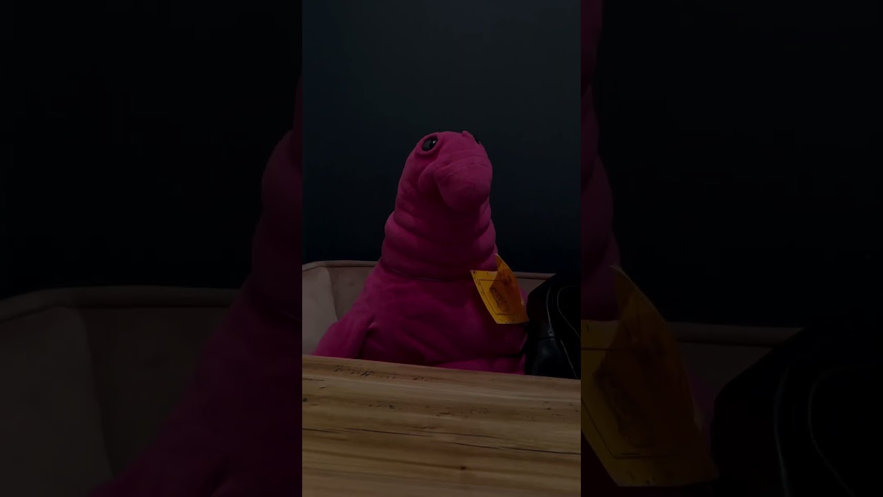 Коллекция малиновых круассанов #shots #саморазвитие #travel #selfeducation