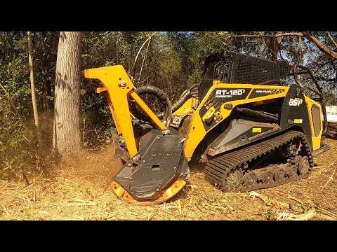 Cops Find Body In Woods, Now City Demands Owner Mulch The Property!