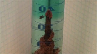 Nail and Copper II chloride experiment