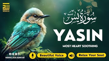 Surah Yasin (Yaseen) سورة يس | Wonderful Relaxing Heart Touching Voice