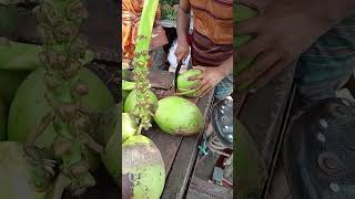 Narkel Coconut Village Fruit Nusrat Tv