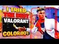 This Valorant Colorbot Makes Valorant Look INSANE