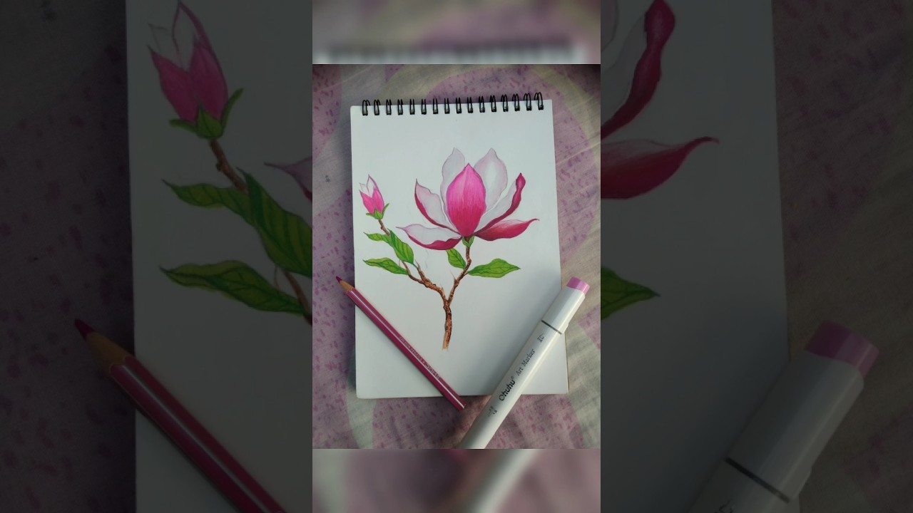 Beautiful Pink Flower Drawing 💕 