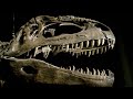 Dinosaur Extinction: What Caused It?