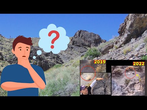 Siarly Leak: A Shocking Truth That Will Make You Think