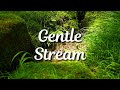 ASMR Stream Noises to Melt Away Stress