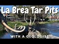 La brea tar pits with a geologist  fossils and geology tour