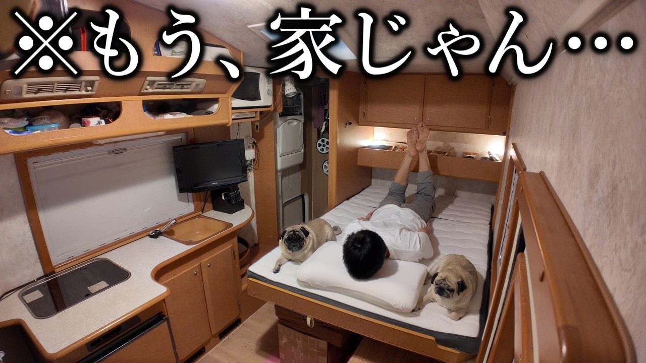 独身で犬を飼ってしまった男の末路…ほぼ家みたいな車中泊部屋が出来た