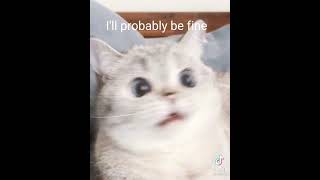 I Swallow Shampoo Tiktok