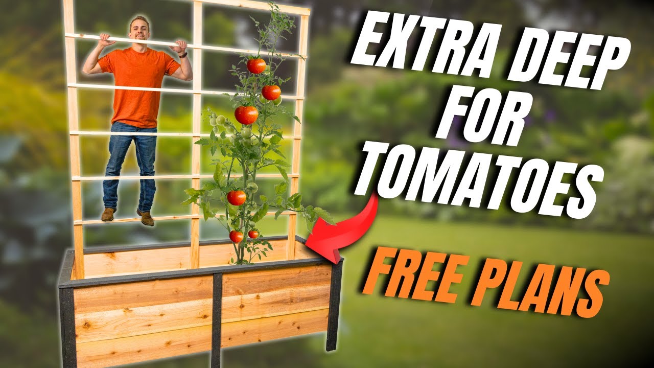 How To Build A Tomato Planter EASY | Simple Raised Tomato Bed