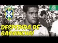 Programa completo (14/06/20) - Especial sobre a DESPEDIDA DE GARRINCHA no Maracanã em 1973