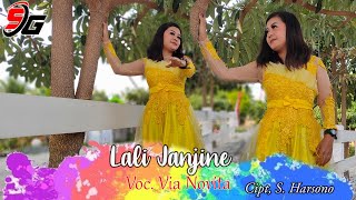 VIA NOVITA - LALI JANJINE ( Cover  )