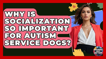 Why Is Socialization So Important For Autism Service Dogs? - Answers About Autism