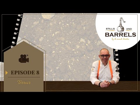 de monnik dranken social media platforms