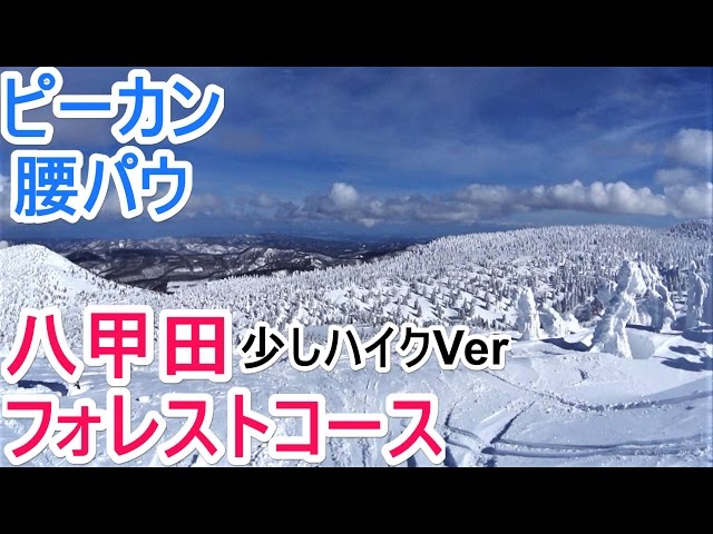 【スノーボード】八甲田フォレストコース　ピーカン・腰パウ【ウインタースポーツ】少しハイクVer
