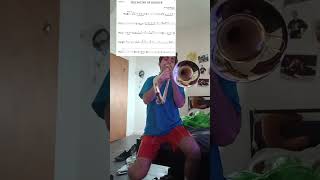 The Sound Of Silence - Simon &amp; Garfunkel/Disturbed #trombone #trombonist