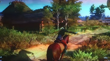 Witcher3 Running on Ubuntu through Wine 3.5 and DXVK