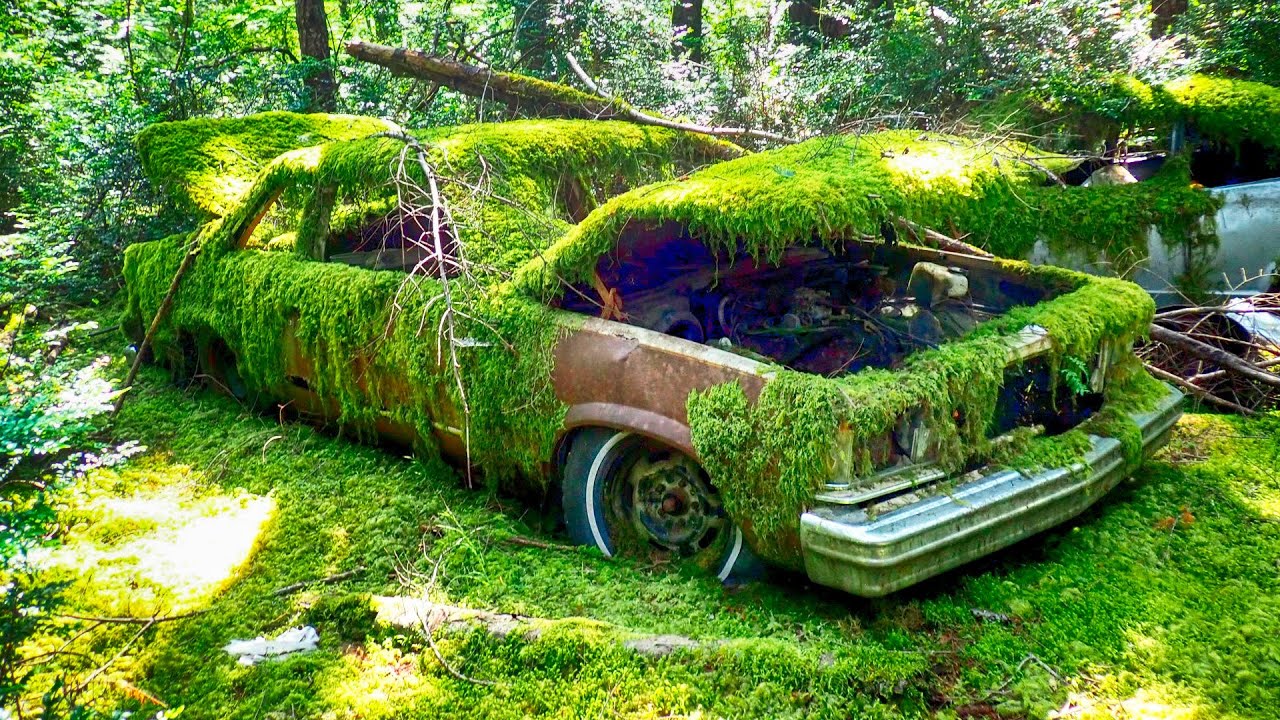 2025s Most SHOCKING Discovery: Classic American Muscle Cars Just LEFT to Rust!