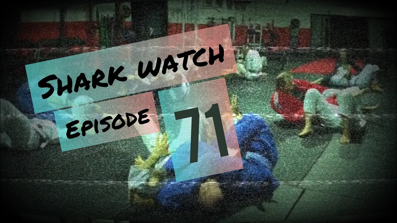 shark week shark watch