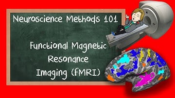 Functional Magnetic Resonance Imaging (fMRI) explained | Neuroscience Methods 101