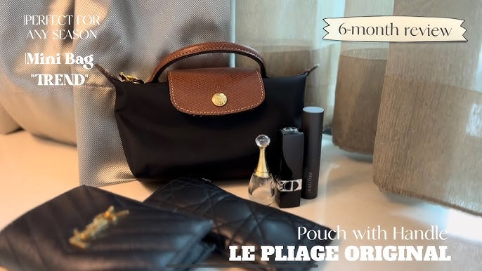What fits in my @longchamp le pliage pouch with handle. Add-on