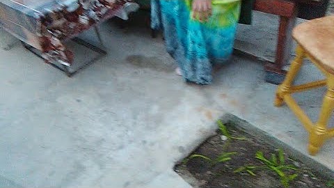 Live video 20.07.2019 20:48:21