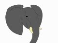 elephant&#39;s head animation test