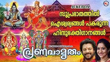 സുപ്രഭാതത്തിൽ ഐശ്വര്യങ്ങൾ പകരുന്ന ഹിന്ദുഭക്തിഗാനങ്ങൾ | Hindu Devotional Songs Malayalam