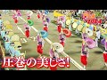 【圧巻の50分】阿波踊りの真髄!有名連の舞を一挙公開!