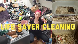 Deep Dive Cleaning: Full House Transformation!