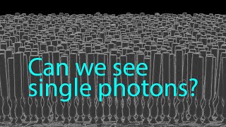 Can we see single photons?