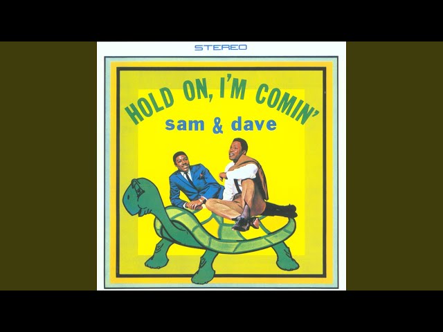 Sam & Dave - If You Got The Loving
