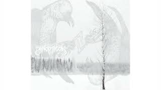 Panopticon - The Rime of Memory cover reveal and sonic teaser